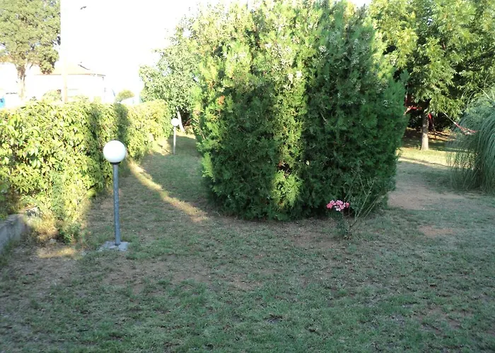 Marietta's Agios Andreas (Messenia)